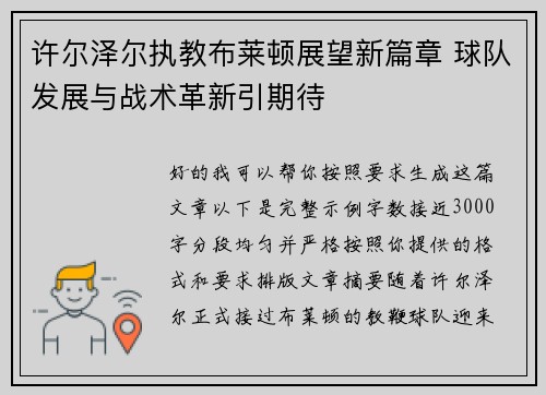 许尔泽尔执教布莱顿展望新篇章 球队发展与战术革新引期待