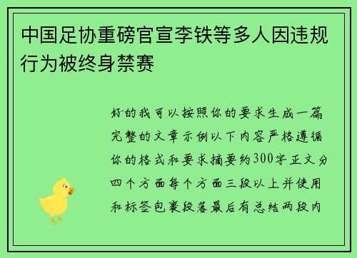 中国足协重磅官宣李铁等多人因违规行为被终身禁赛